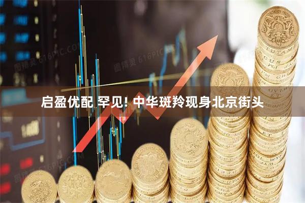 启盈优配 罕见! 中华斑羚现身北京街头