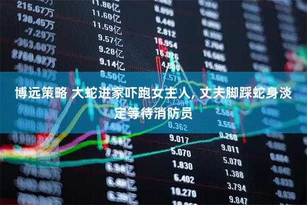 博远策略 大蛇进家吓跑女主人, 丈夫脚踩蛇身淡定等待消防员