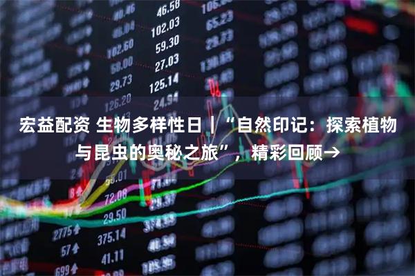 宏益配资 生物多样性日｜“自然印记：探索植物与昆虫的奥秘之旅”，精彩回顾→